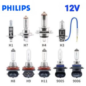 Bóng Đèn Pha Gầm Halogen 1 Màu PHILIPS 12V